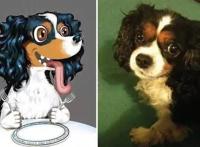 如果将宠物改成动画人物，而它成宅男吉祥物，萌翻网友！