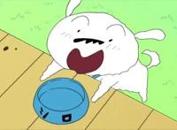 动漫当中那些超想牵来自己养的宠物，定春猫咪老师上榜