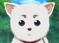 动漫当中那些超想牵来自己养的宠物，定春猫咪老师上榜