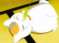 动漫当中那些超想牵来自己养的宠物，定春猫咪老师上榜