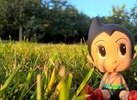 盘点那些动画片以动物和机器为主人公的动漫作品