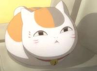 你最想在动漫中领养哪一只猫？最后一位的真实形态是个萌妹子