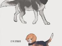 将咒术中的角色变成小动物，五条悟不愧是大长腿，一年级组萌出血