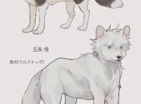 将咒术中的角色变成小动物，五条悟不愧是大长腿，一年级组萌出血