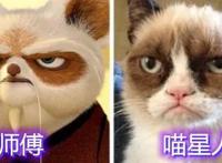 天哪！这是二次元入侵现实世界吗，希德的形象居然是一只“狗子”