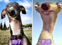 天哪！这是二次元入侵现实世界吗，希德的形象居然是一只“狗子”