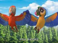 熊出没：你想把哪只动物带回家当宠物？体型超大的团子最受欢迎！