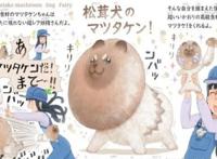 蔬菜知识图鉴：“菜狗”太可爱了，网友：好想养一只