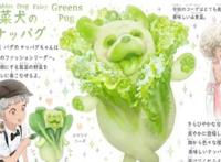 蔬菜知识图鉴：“菜狗”太可爱了，网友：好想养一只