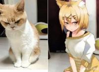 当动物被画师二次元化，可盐可甜可帅气，还是纸片人更让人心动