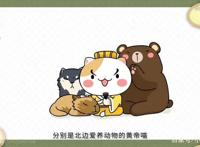 《如果历史是一群喵》跟着动漫学历史