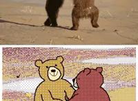 一组有灵魂的动漫趣味动图，如果不会动就丢了灵魂