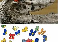 一组有灵魂的动漫趣味动图，如果不会动就丢了灵魂