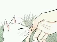 年度催泪漫画：动物的命，都是命，不要随意决定饲养动物