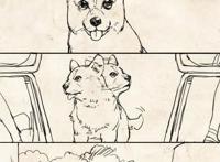 年度催泪漫画：动物的命，都是命，不要随意决定饲养动物