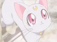 这十五只可爱到犯规的动漫萌宠，如果居家的时候有它们陪就好了