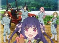 后悔不已，那些年因为片名而错过的五部好看的恋爱番！