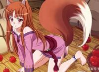 狼与香辛料动漫中的狼是这样的你有了解吗？你还没看这番吧！