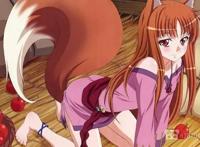 双平台众筹4000多万日元，《狼与香辛料VR》为什么这么牛逼？