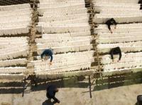 「读嘉人文」嘉兴蚕桑文化保护，他们在行动