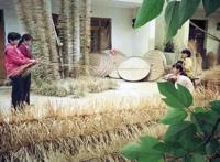 「读嘉人文」嘉兴蚕桑文化保护，他们在行动