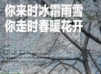 中国唱诗班—《红豆（上）》：青梅竹马终究抵不过门当户对