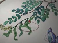 中国唱诗班—《红豆（上）》：青梅竹马终究抵不过门当户对