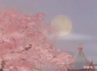 国风获奖动画《月老》，老鼠爱上猫，找月老要姻缘，不给就捣乱