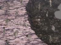 致不灭的你：哈亚瑟拯救岛民，她本性不坏，因不灭而疯狂？