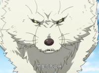 四月催泪新番，致不灭的你！