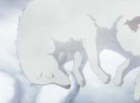 奇幻治愈新番《致不灭的你》，不死的“球”不断演化成人间万物