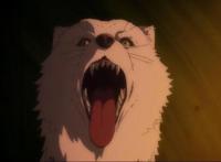 致不灭的你：四月霸权预定，开篇信息量丰富，第一集泪点满满