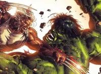 《浩克大战金刚狼》要来了？马克鲁法洛：已经和凯文·费奇谈过了