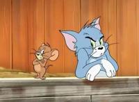 动漫中的几只猫，它比蓝胖子还经典，最后一只堪称萌猫神！