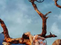 美女拿着自行车轮胎在树上拍照？摄影师脑洞也太大了