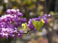 古体诗一百四十五首