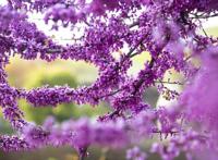 古体诗一百四十五首