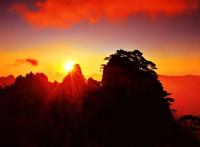 祝福的钟声向着光芒闪烁