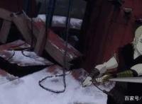 距今已有十年，但这部动画依旧受欢迎，现在仍不落俗套！