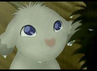 暴风雨之夜，翡翠森林狼与羊，跨越种族的情义