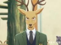 《BEASTARS》：灰狼与白兔跨越物种的爱情