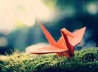 这首爆火歌曲原唱是谁，我今天终于搞清了