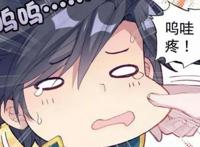 斗罗大陆：蓝轩宇逆天的副职业，唐三望尘莫及，唐舞麟仰天长叹