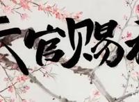 《国产动画导视》，这6部原耽改编的动漫，你看上了哪部？