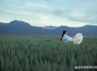 距离西安最近的秦岭麦田，仿佛来到了宫崎骏的动漫世界