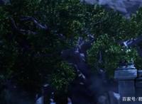 你还在看日漫吗？强推入坑这部国漫！