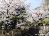 跟着日本经典动画去旅行，让你冲破次元，感受樱花的少女心