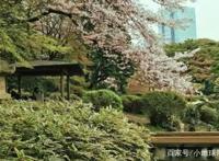 跟着日本经典动画去旅行，让你冲破次元，感受樱花的少女心