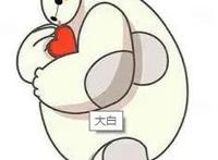 企业可以参考的IP分类有哪些，以及在打造IP时企业应该注意的点