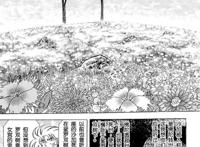 浅析《圣斗士星矢》中“沙罗双树园”对释迦摩尼涅槃之地的借鉴
